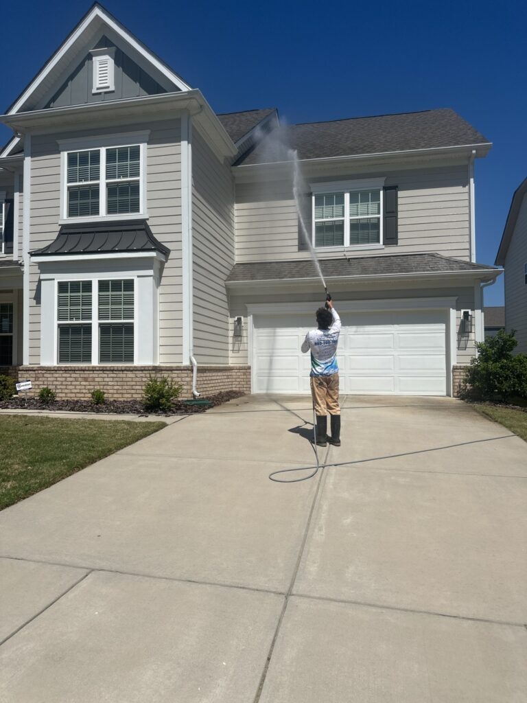 Roof cleaning
