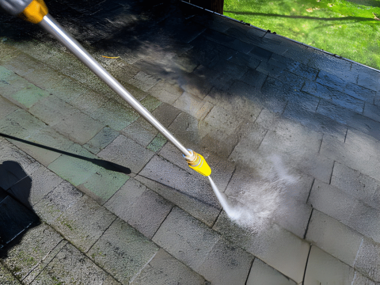Roof Cleaning Services